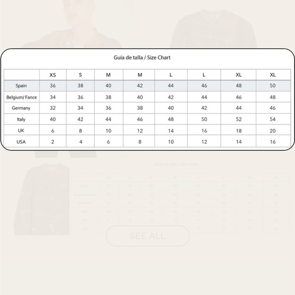 Vilagallo Edina sheer hidden button puff long sleeve Ski You Later blouse skiing - Picture 11 of 16